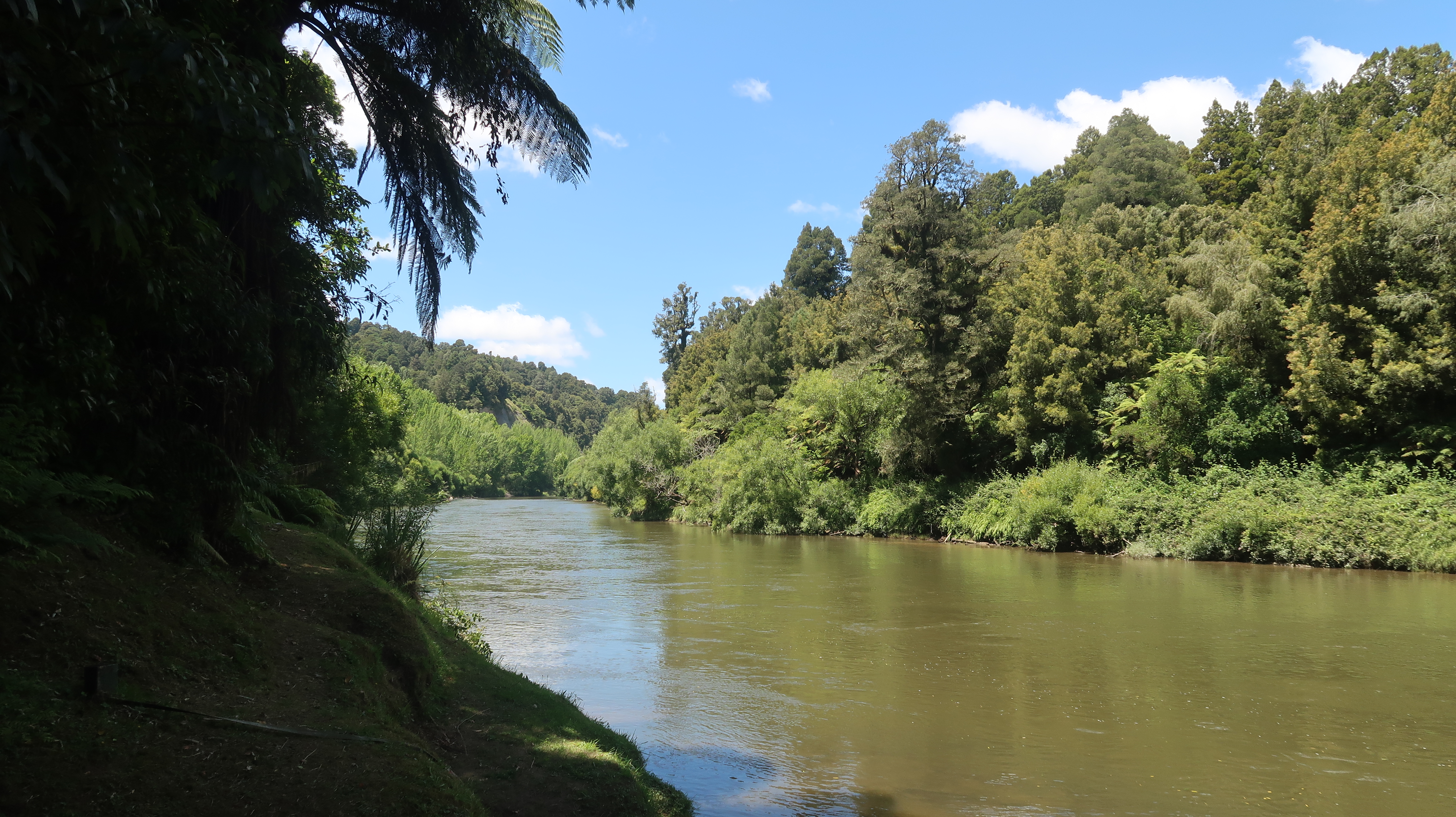 Whanganui river aneb oslava Nového roku